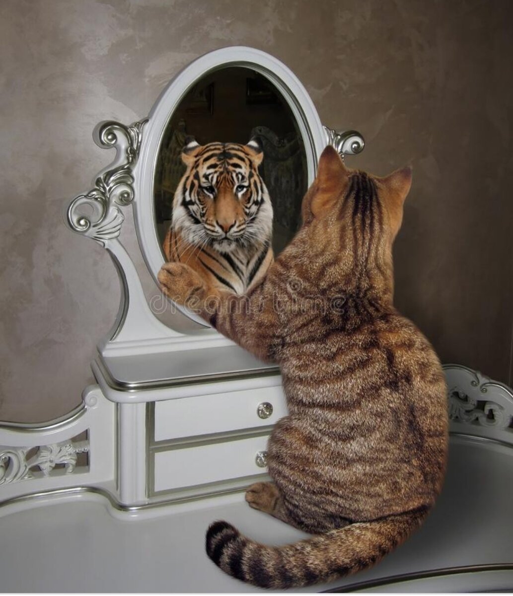 Котенок мотивация