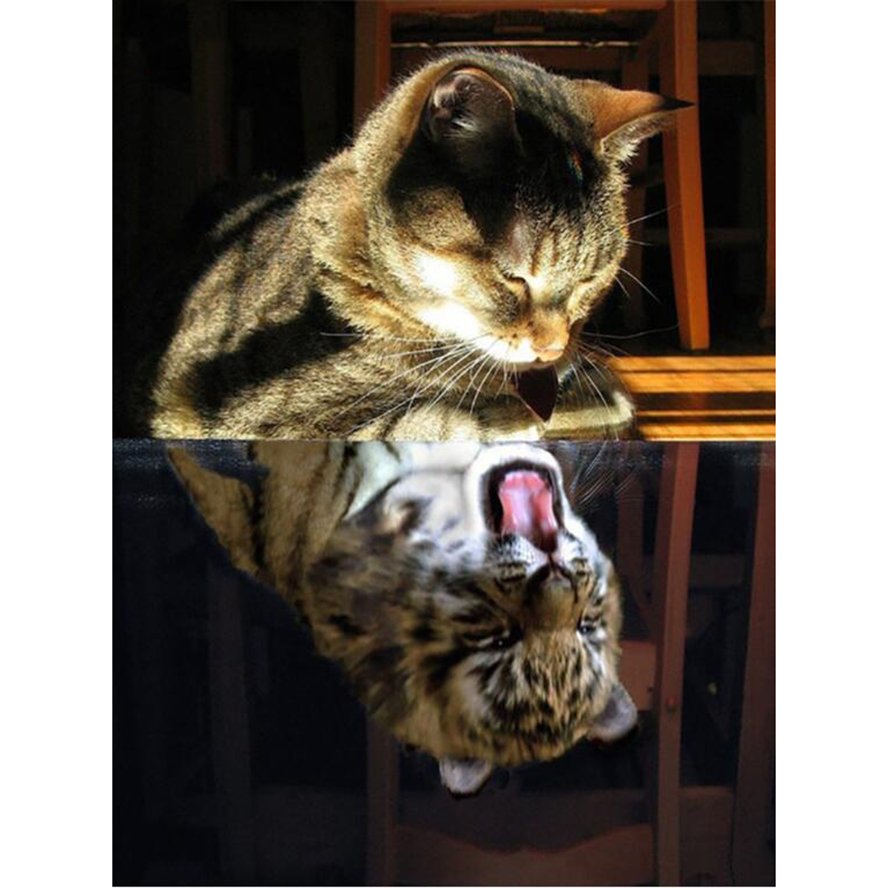 Роскошный кот