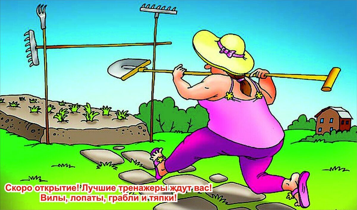 Приколы про огород