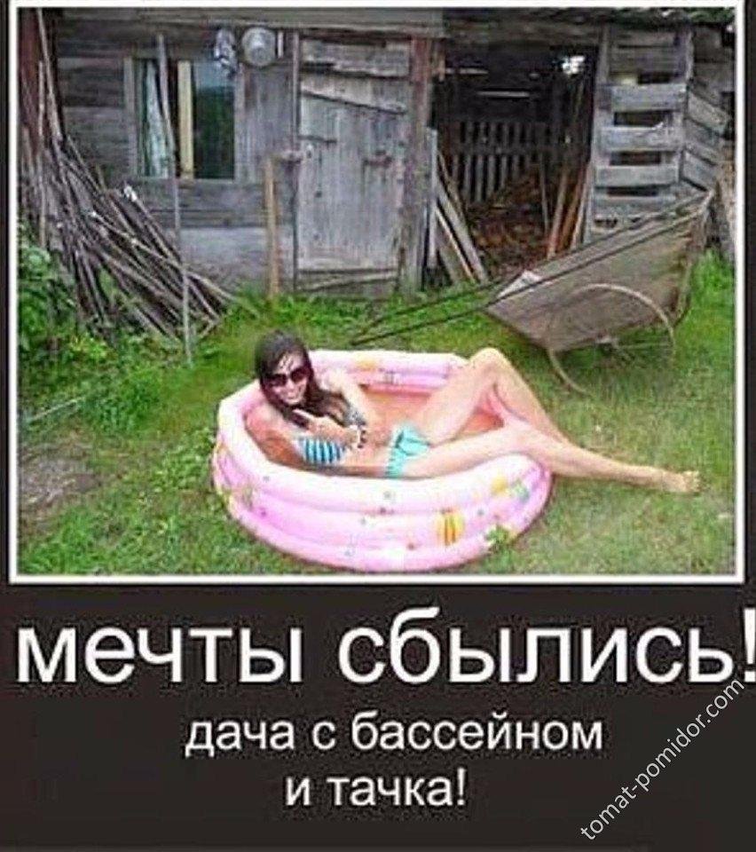 Веселые карикатуры для поднятия настроения