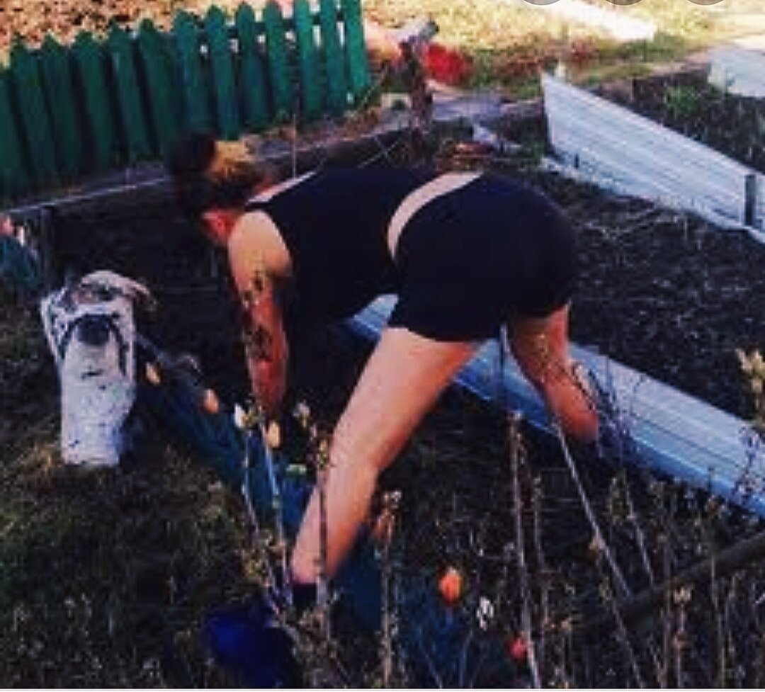 Дачный сезон открыт