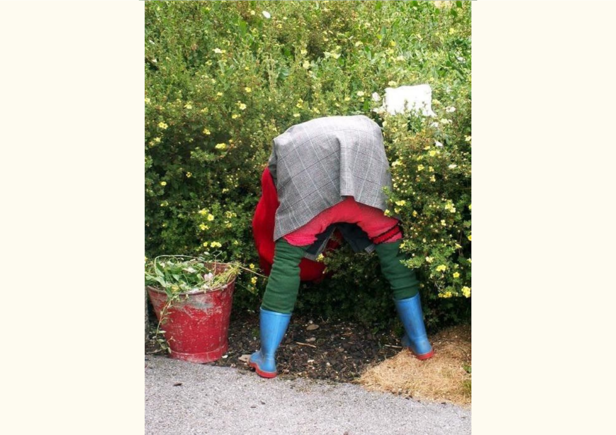 Смешной туалет на даче