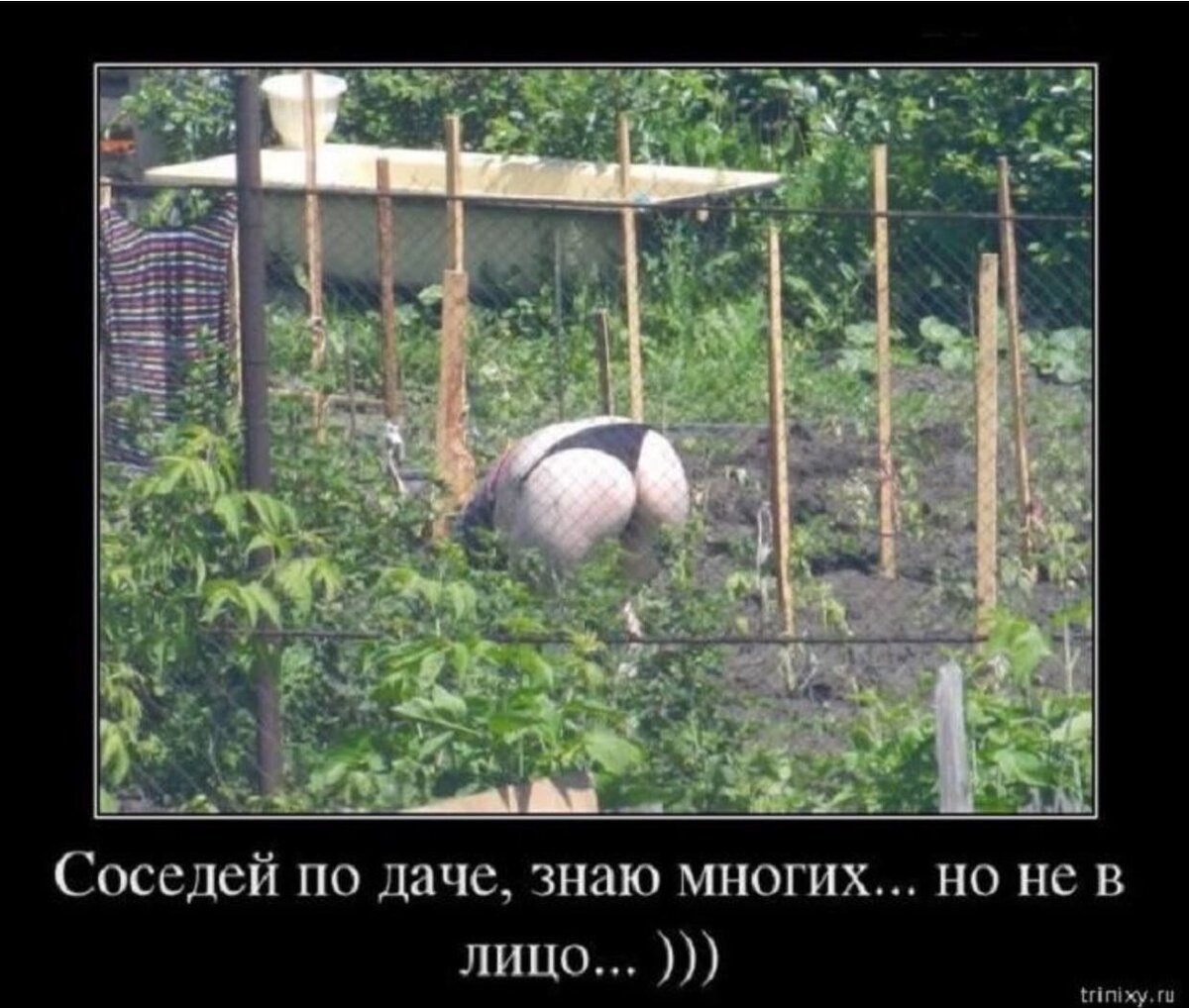 Чучело на дачу