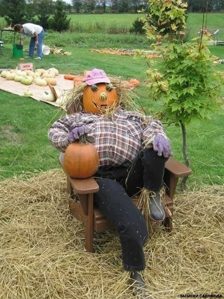 Демотиваторы про огород