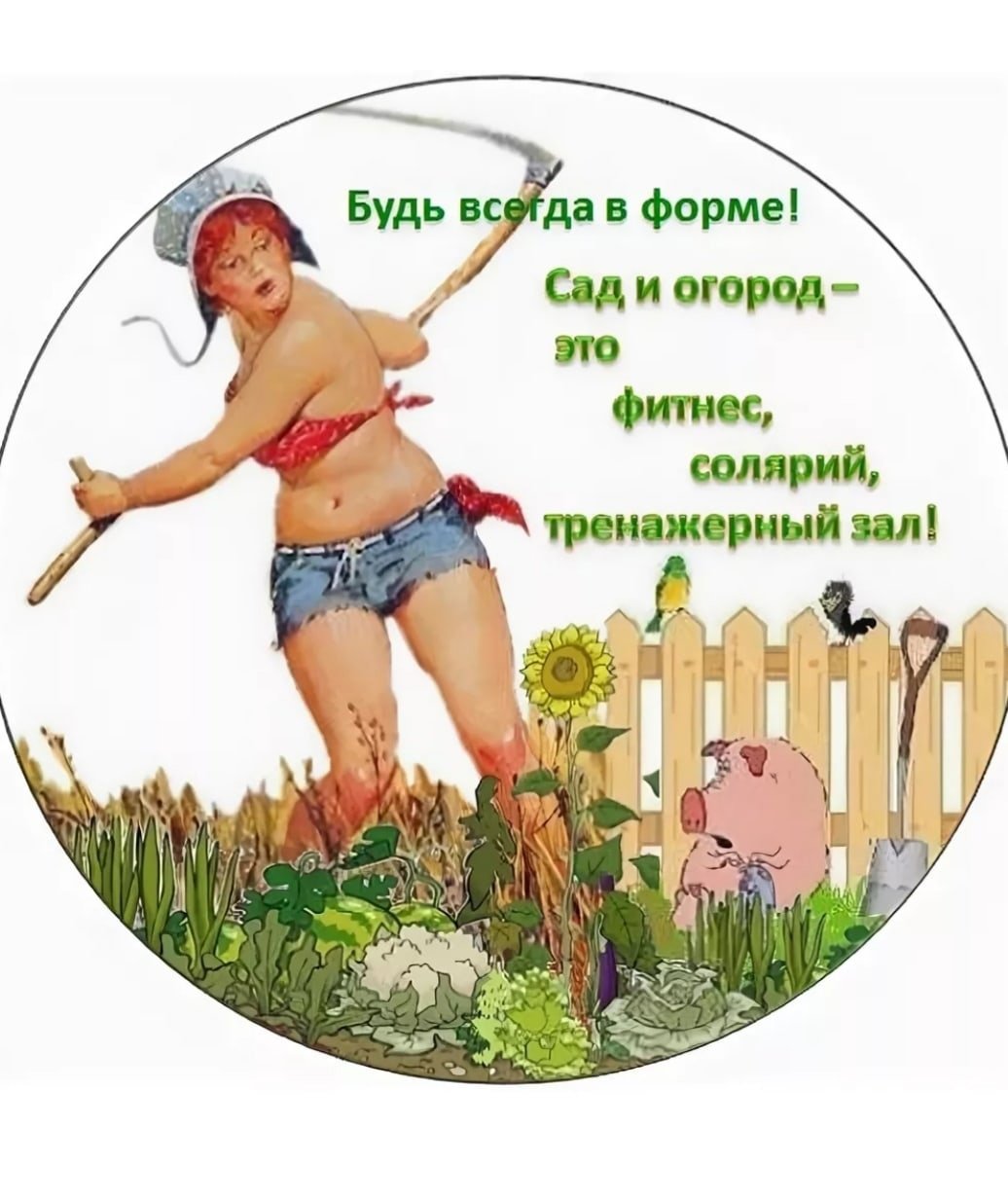 Прикольные дачные туалеты