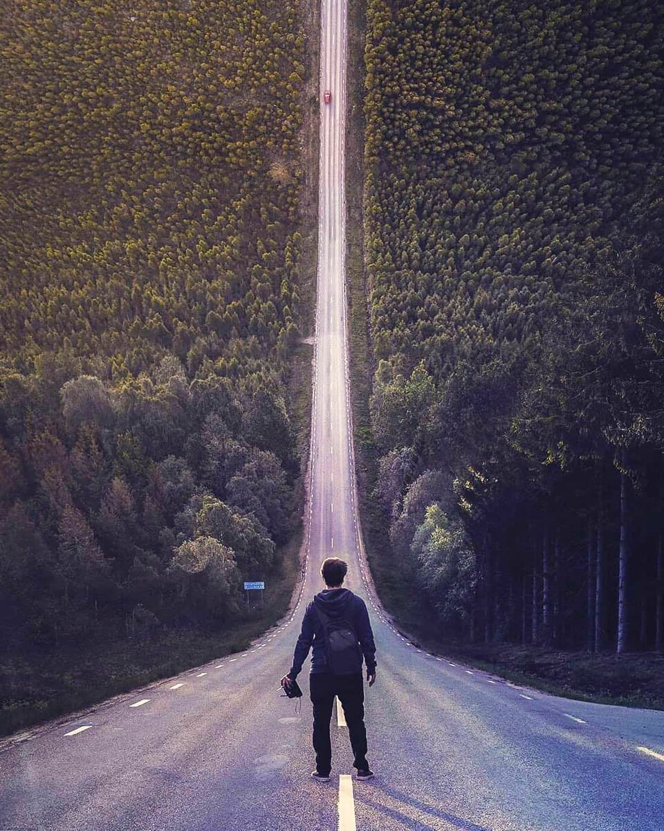 Дорогу осилит идущий картина