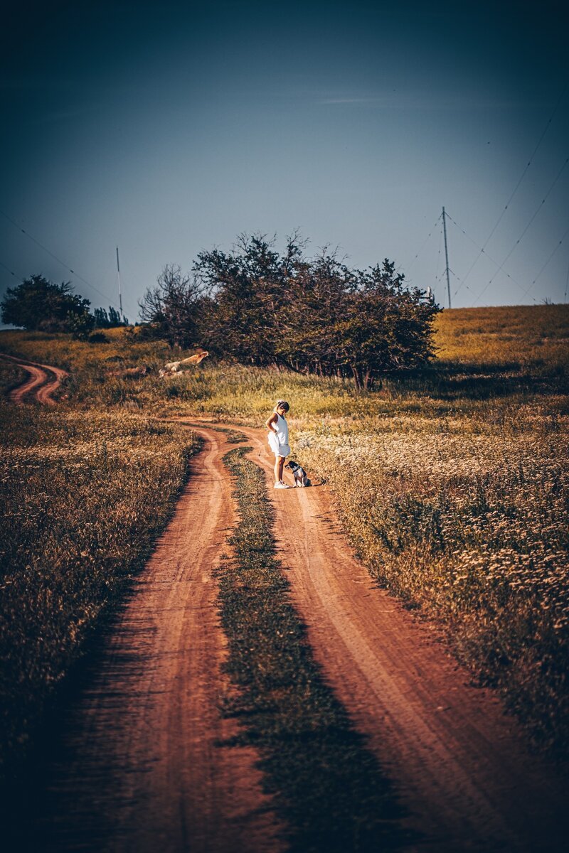 Дорогу осилит идущий фото