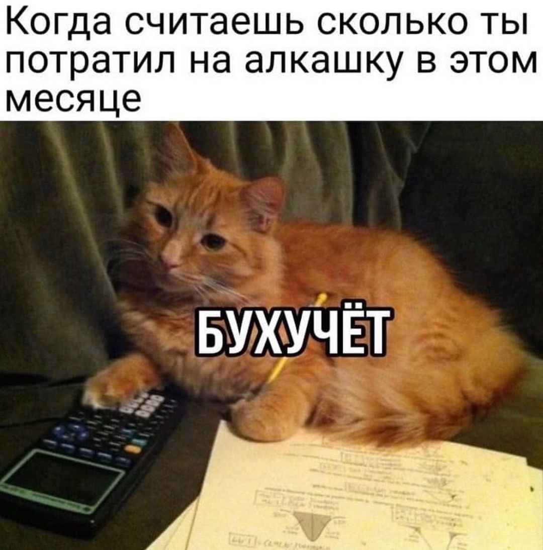 Шутки про Бухучет
