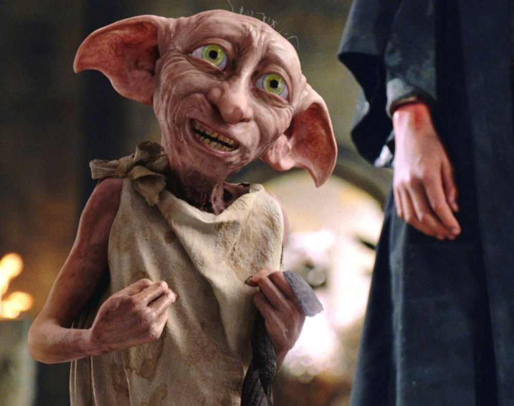 Гарри Поттер подарил Добби носок