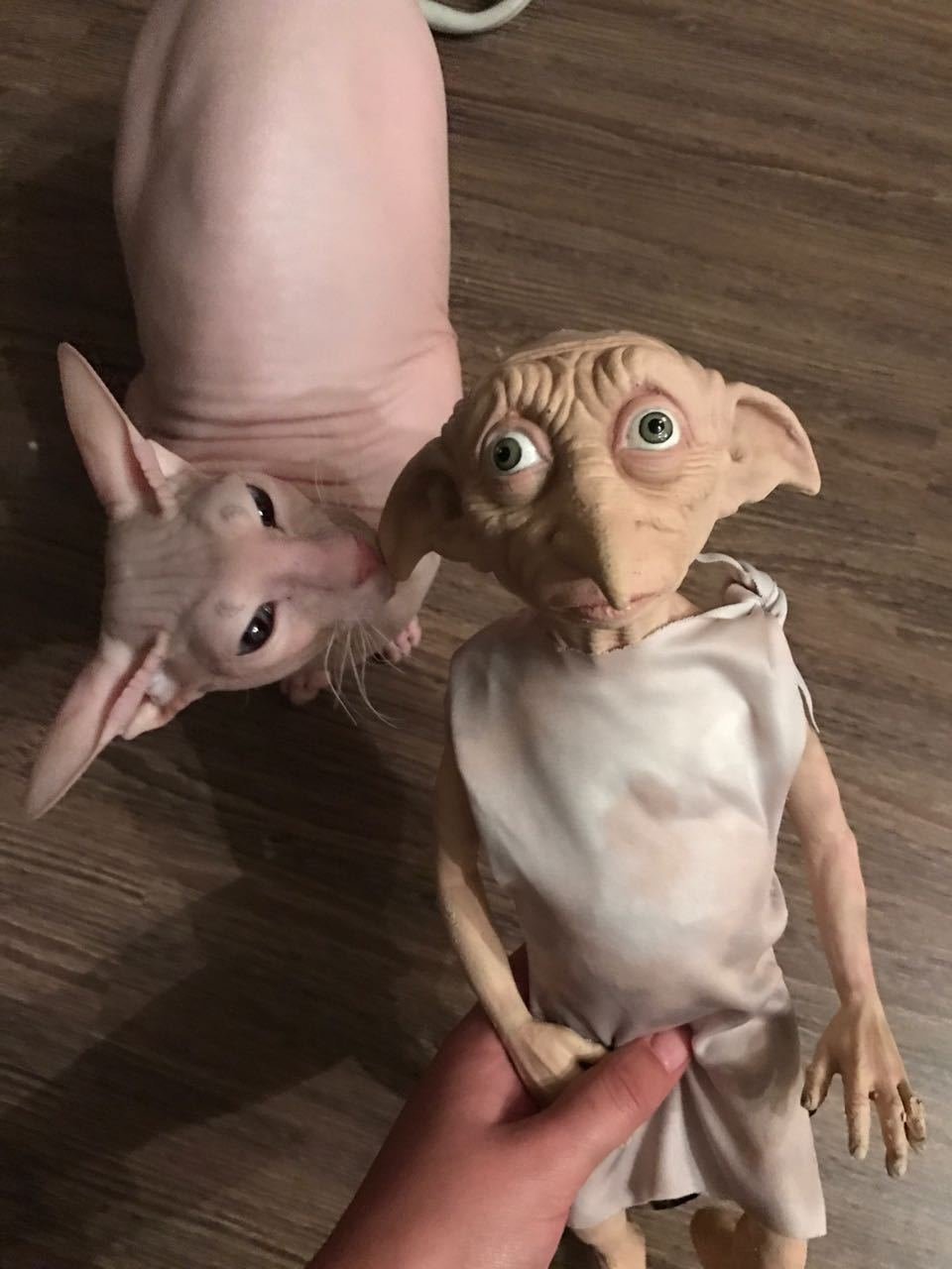 Добби в форме