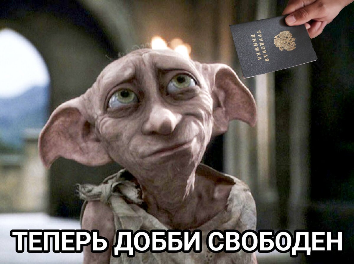 Гарри Поттер хозяин Добби