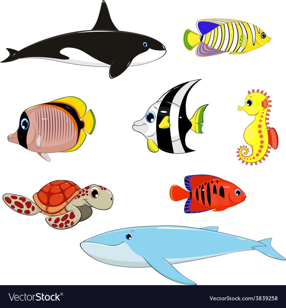 Обитатели моря для детей по одному