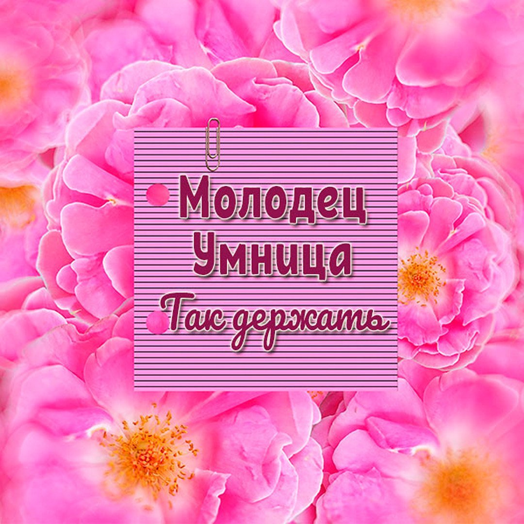 Молодцы аплодисменты