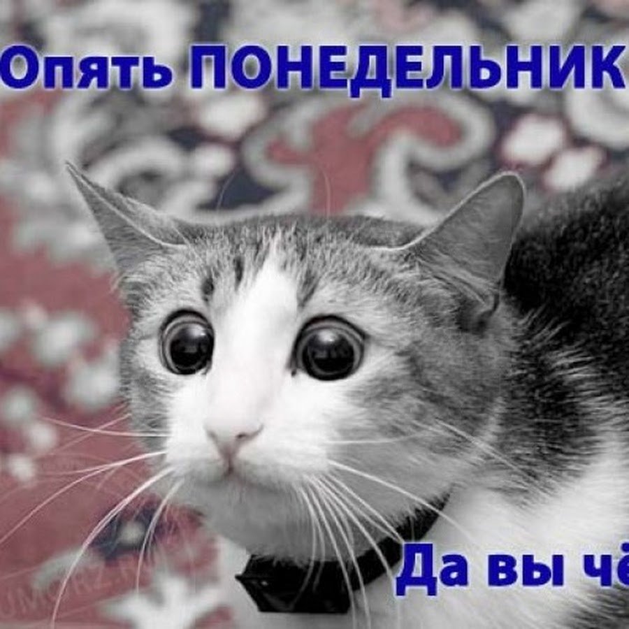 И снова понедельник