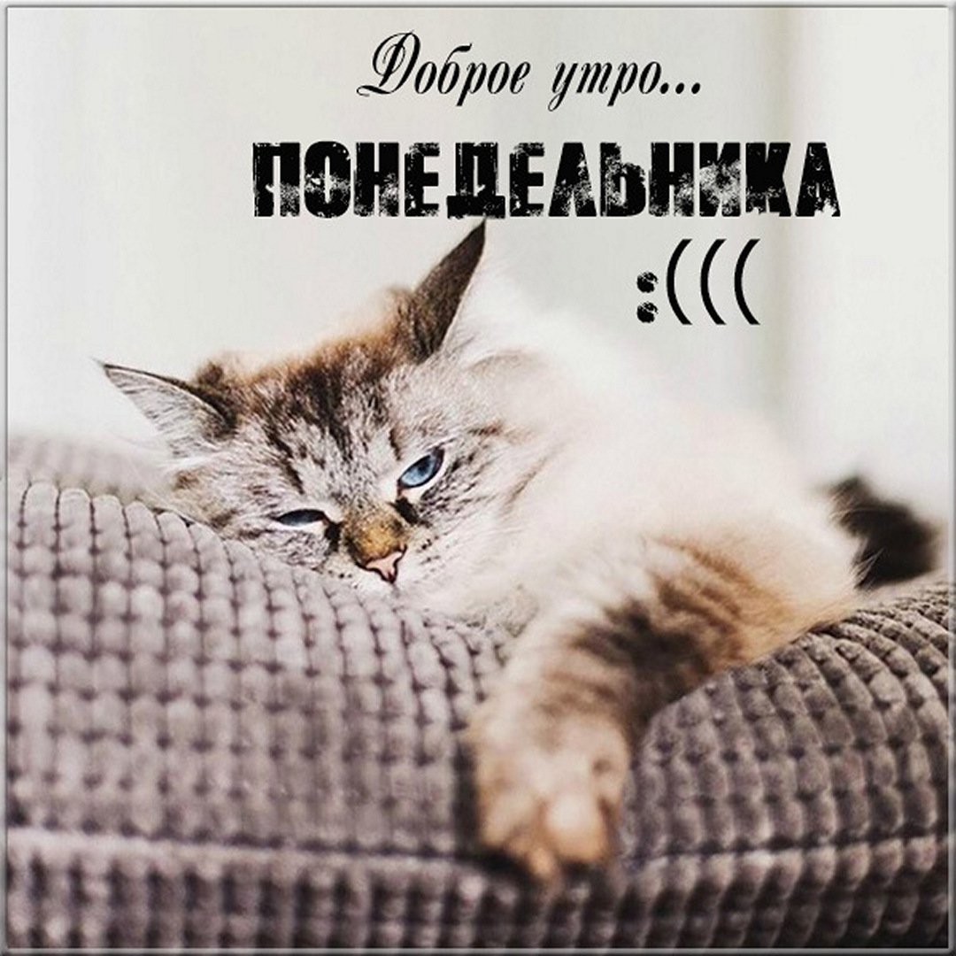 Завтра вторник