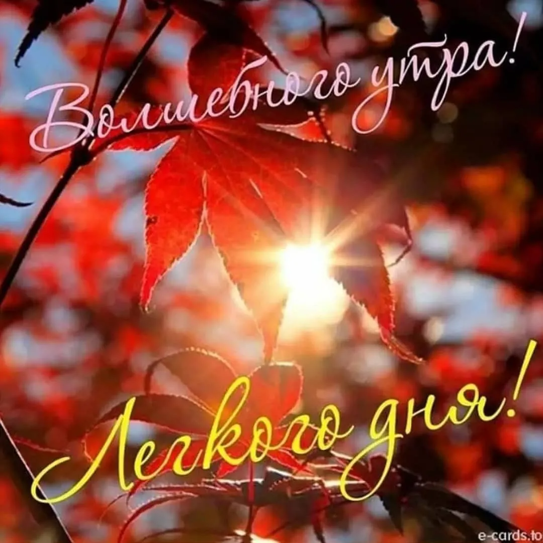 Доброе осеннее утро