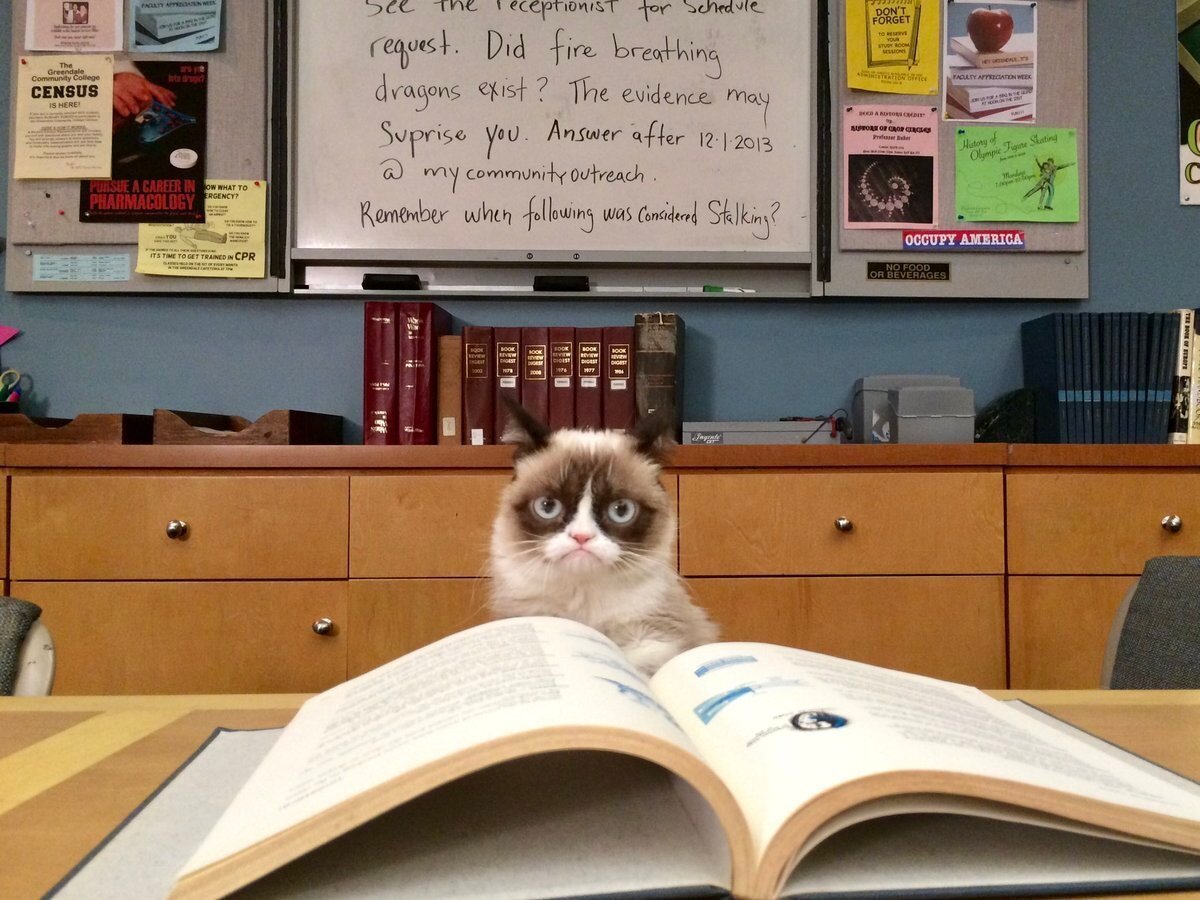 Приколы про учёбу в картинках