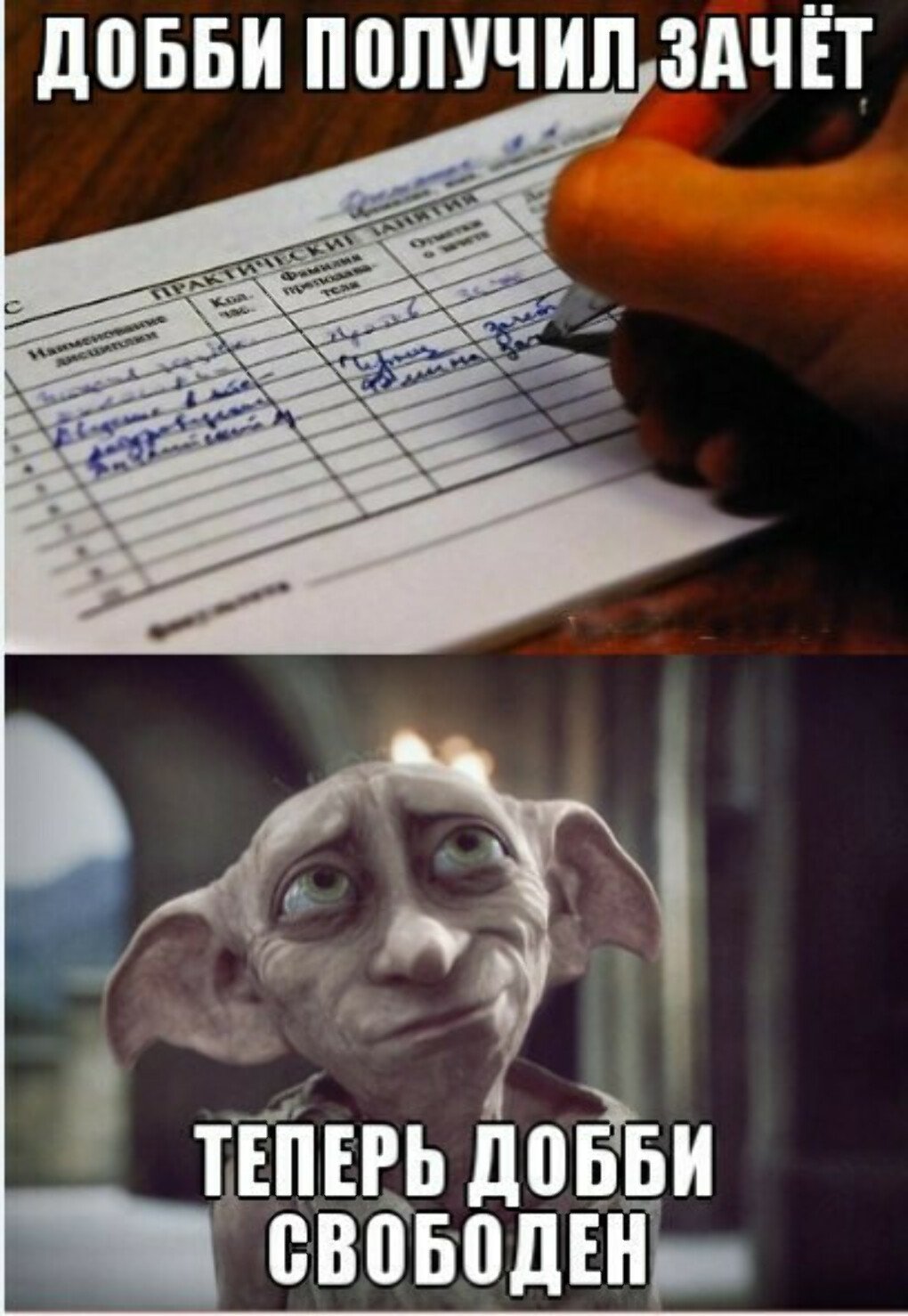 Сессия картинки смешные