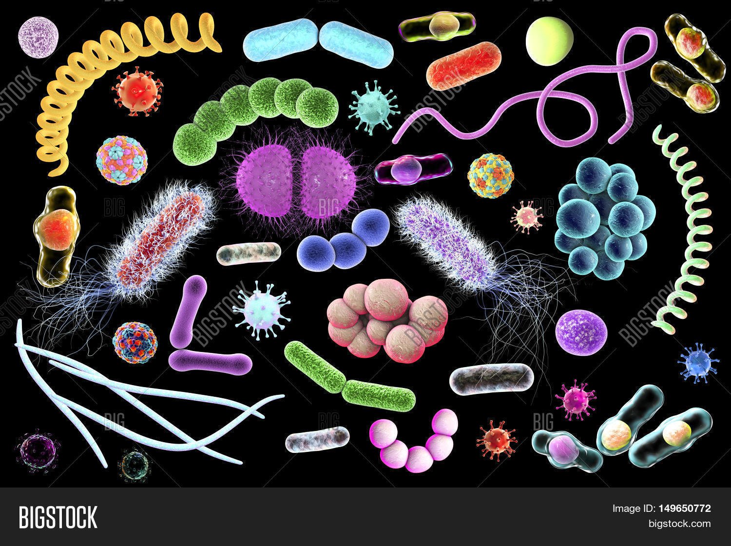 Формы вирусов и бактерий