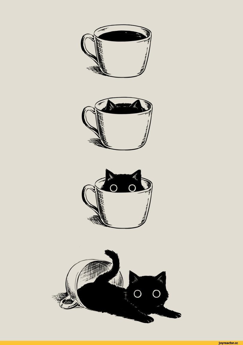 Кот с кофе арт