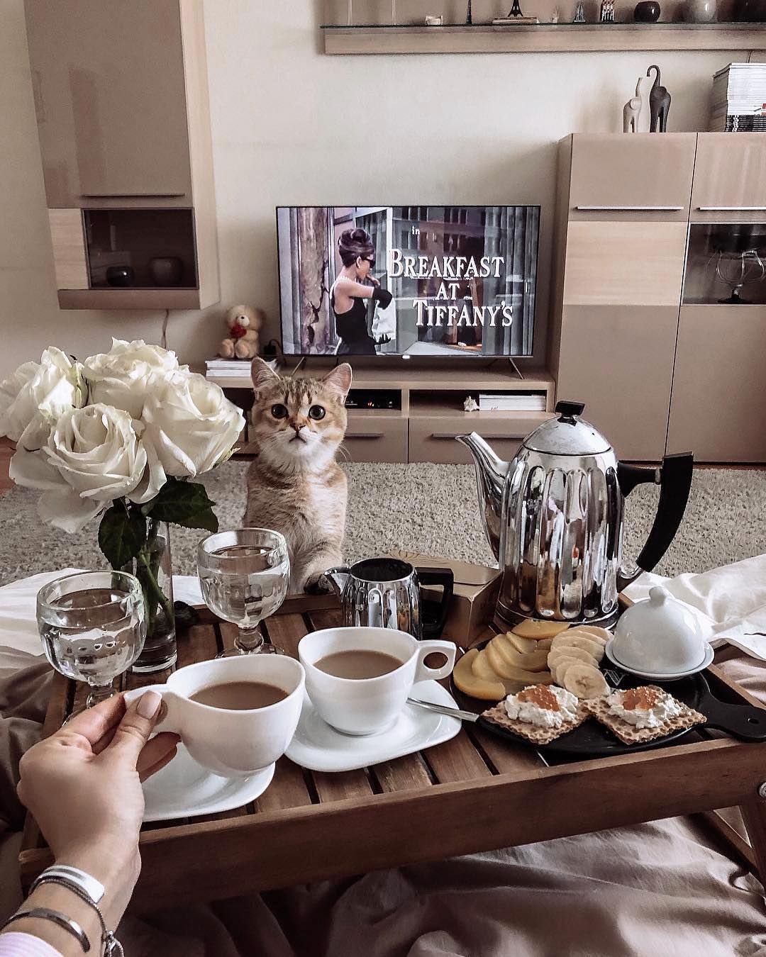 Завтрак с котом