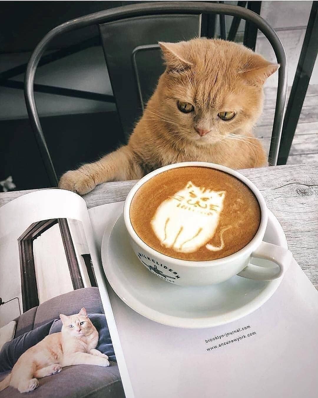 Обожаю утро утро обалденно