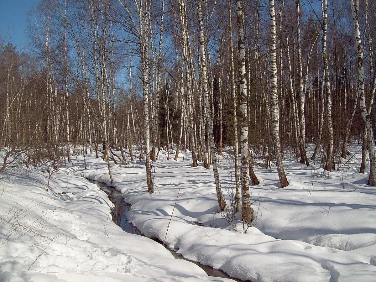 Апрельские проталины