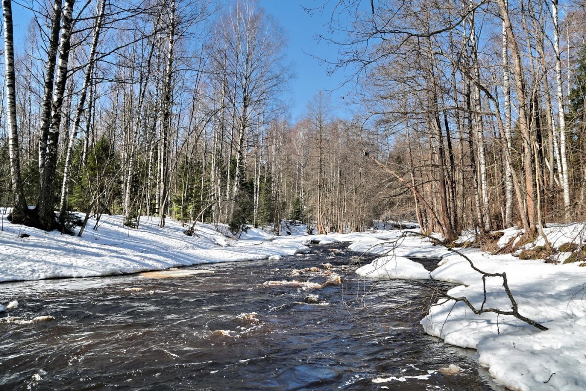 Весенний Ручеек