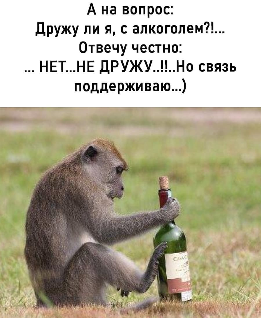 Корпоративка приколы