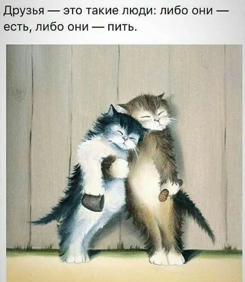 Друзья либо они есть либо они пить