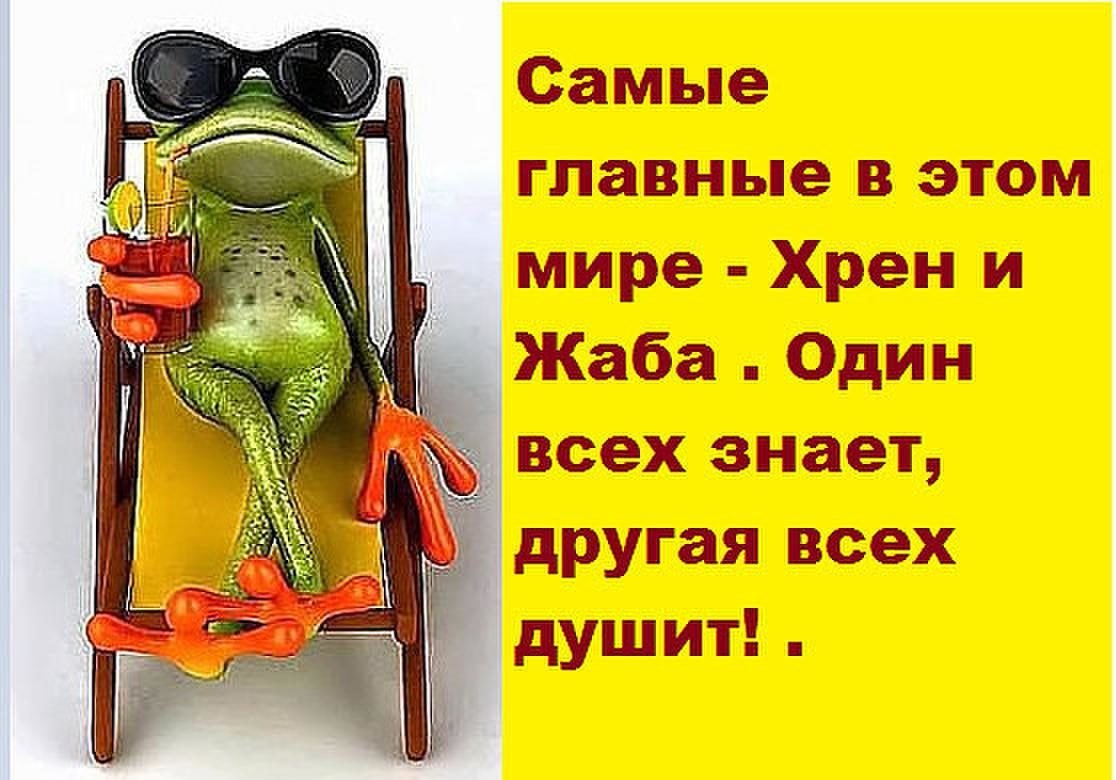 Смешные высказывания про отпуск