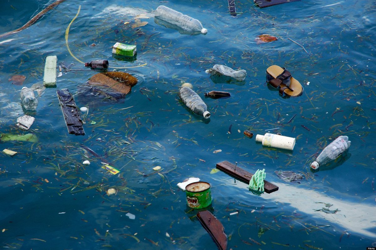 Загрязнение мирового океана промышленными отходами