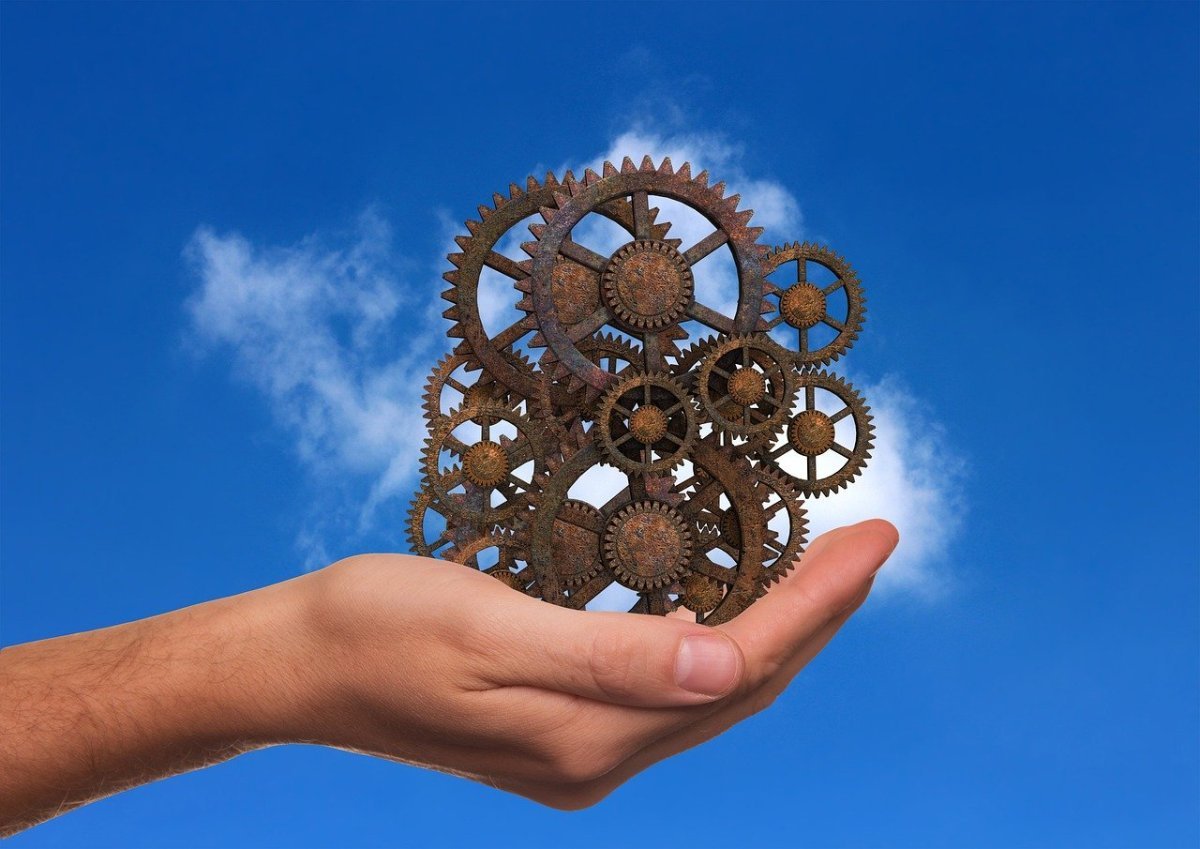 Шестеренки жизни