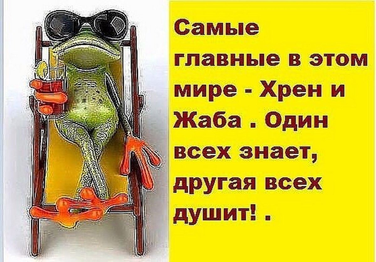Смешные высказывания про отпуск