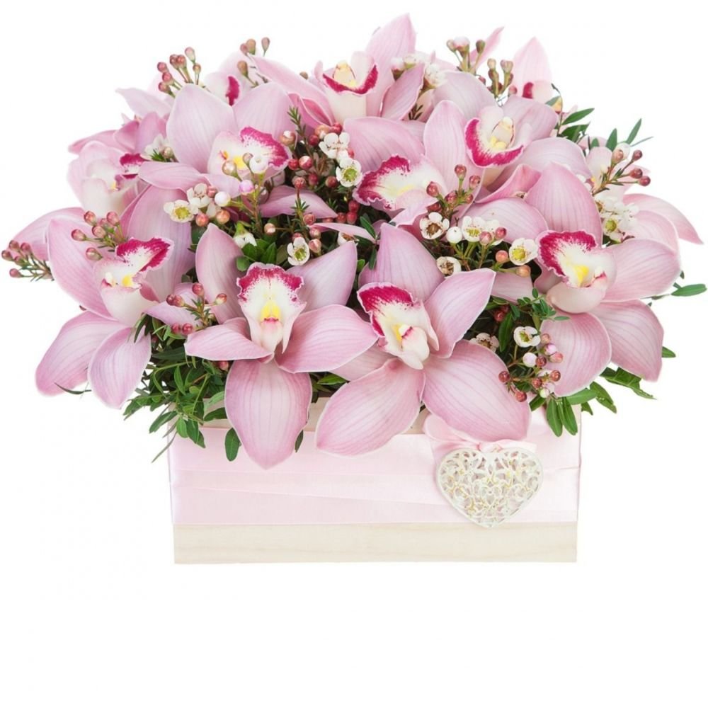 Татьянин день открытки