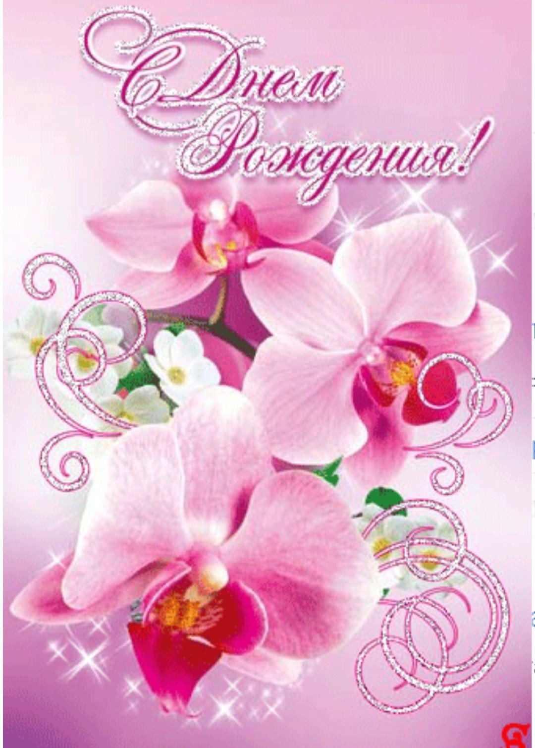 Лилейная Орхидея