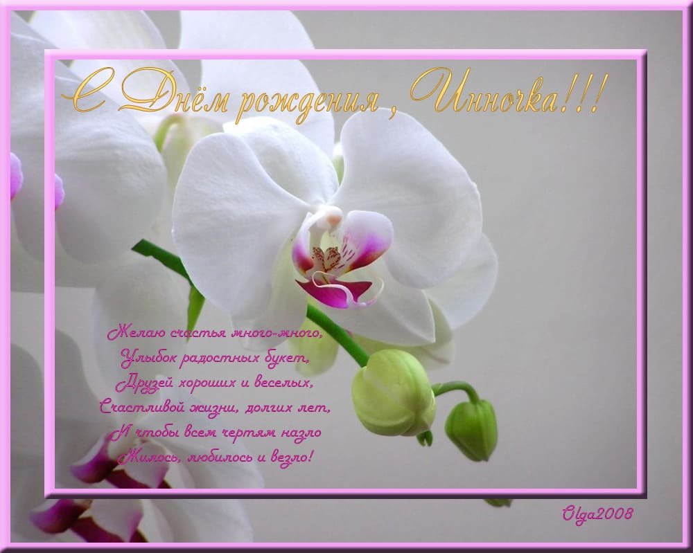 Красивые цветы