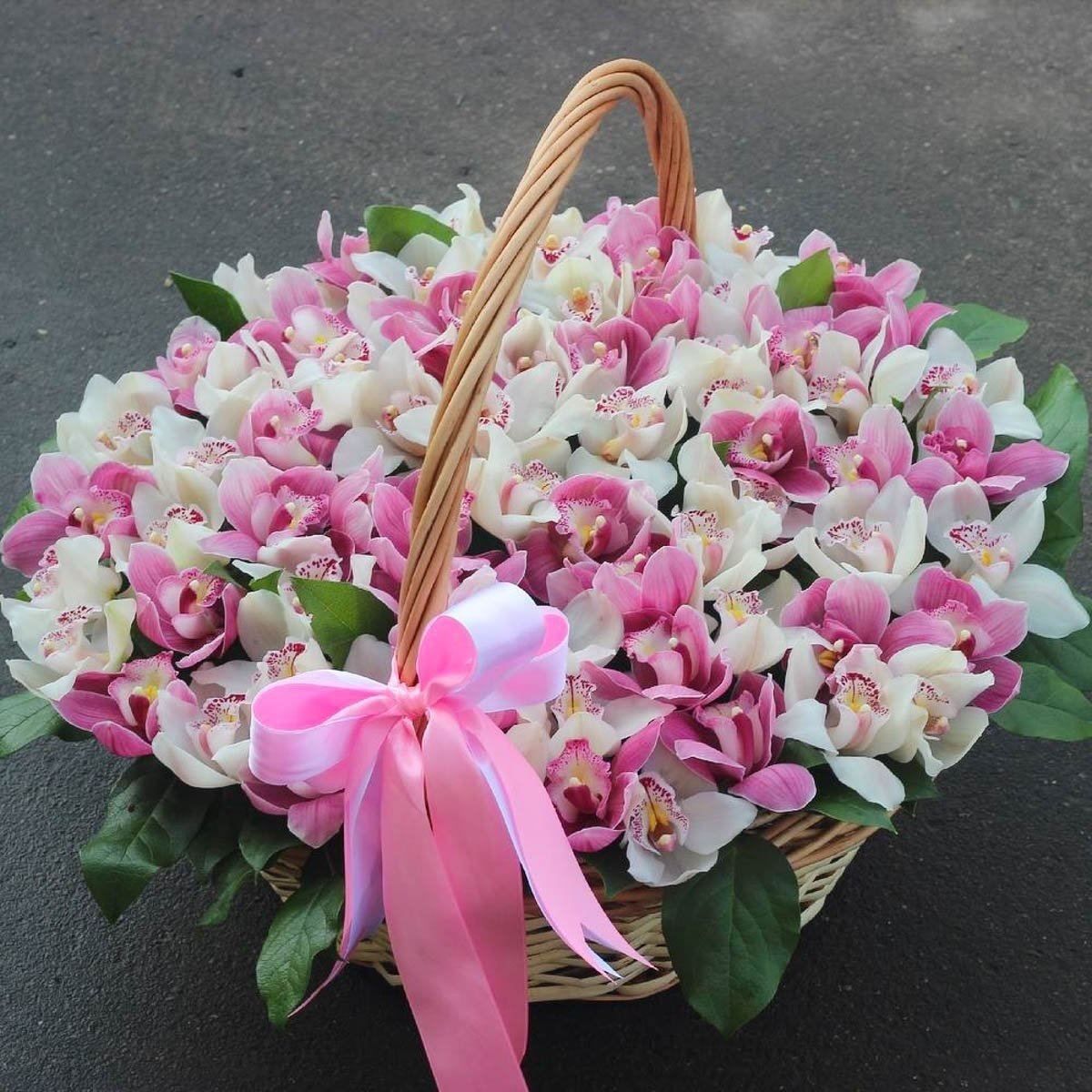 С днем рождения орхидеи картинки