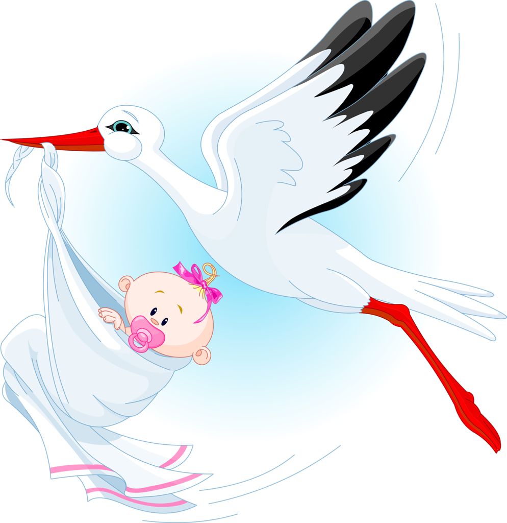 Аист с малышом