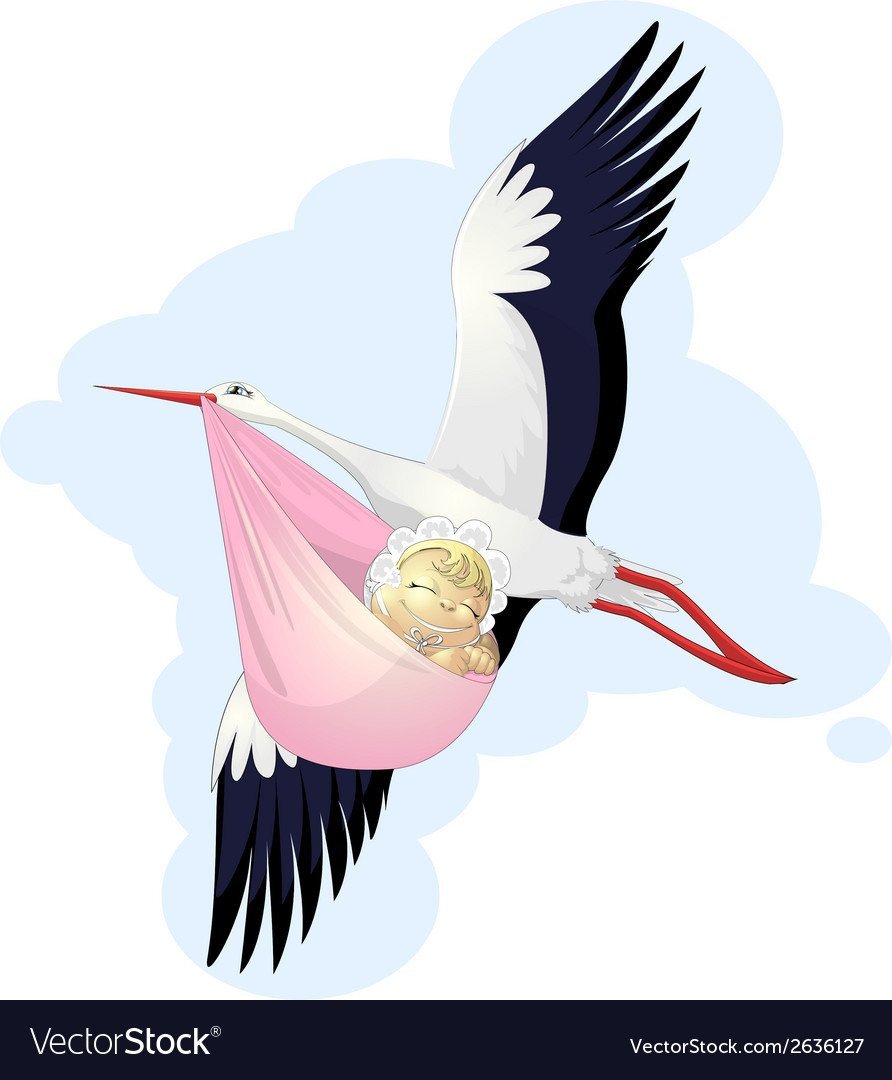 Аист принес