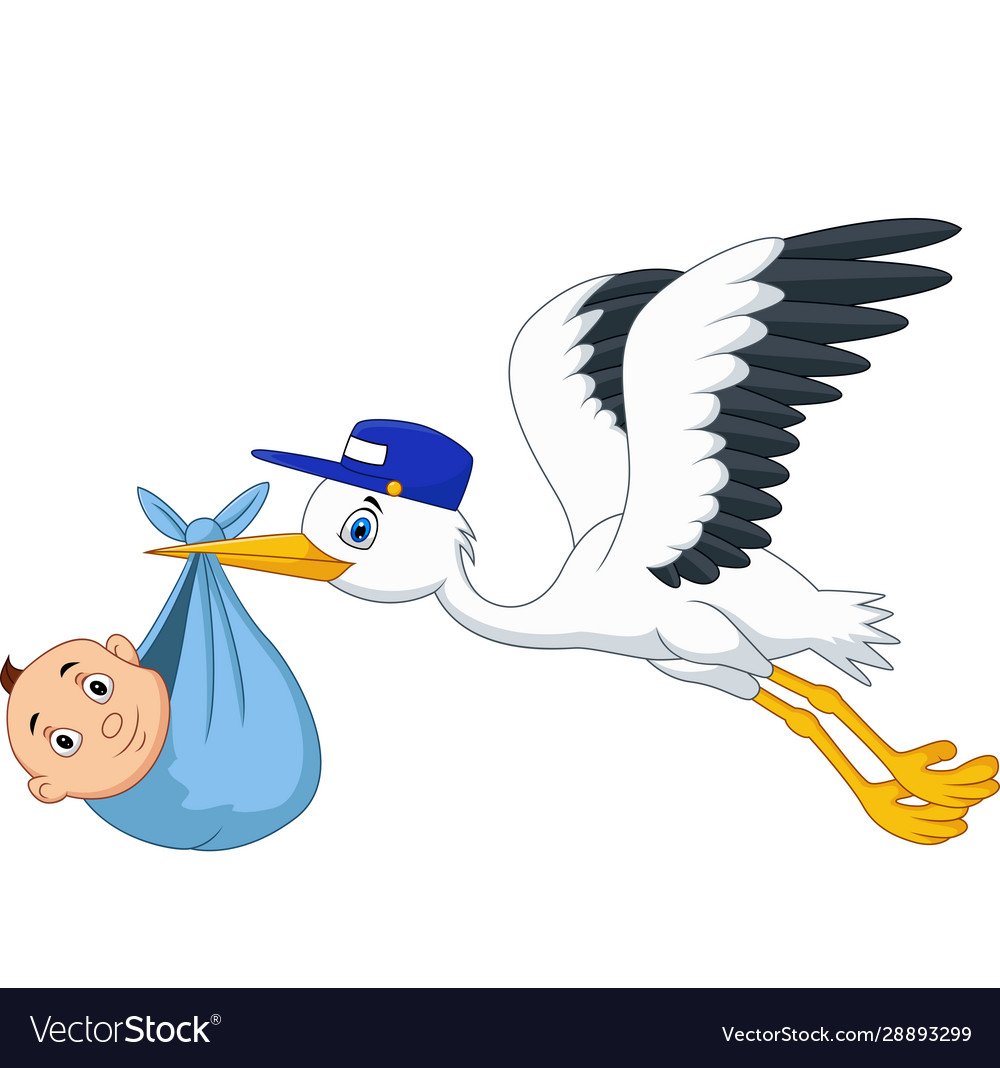 Аист несёт младенца