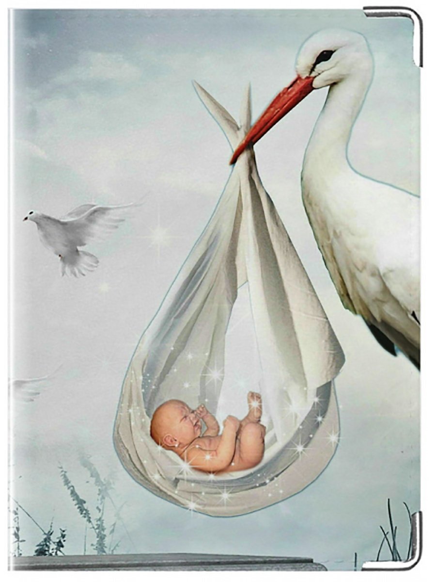 Аист несет малыша