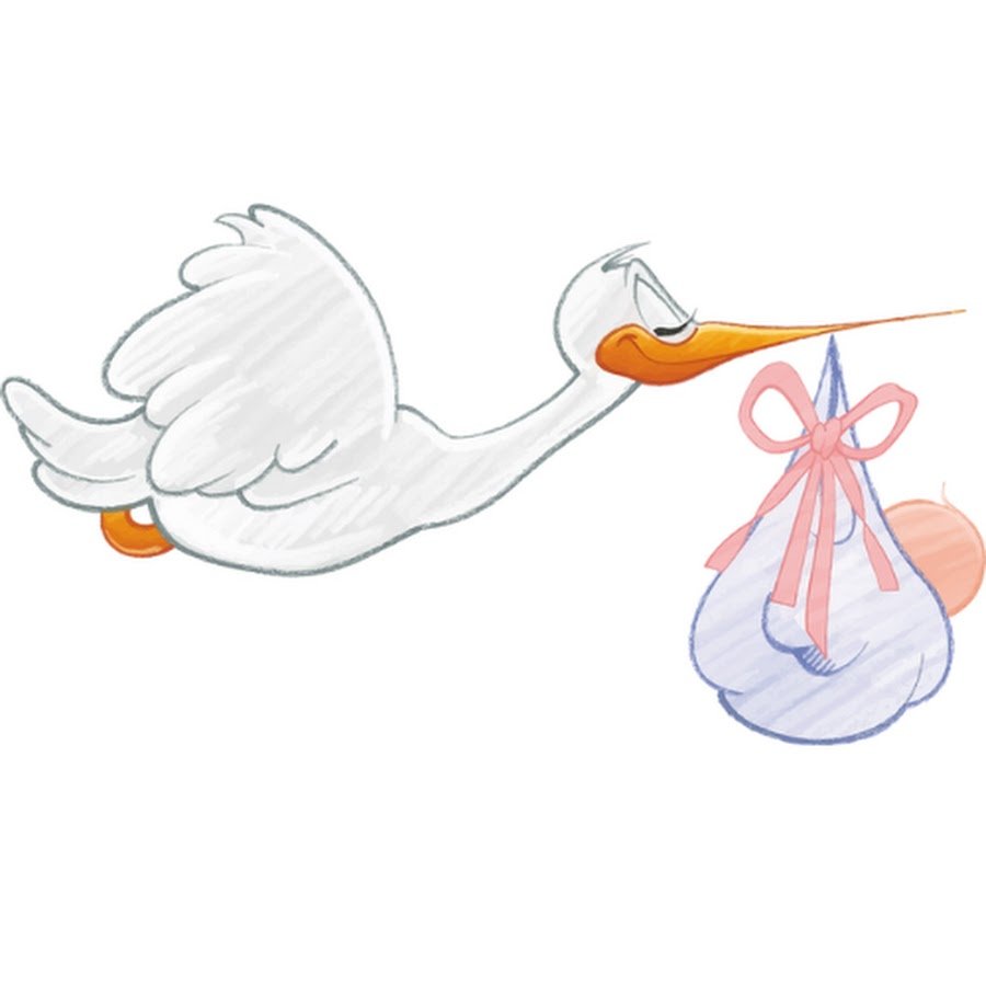 Аист с малышом