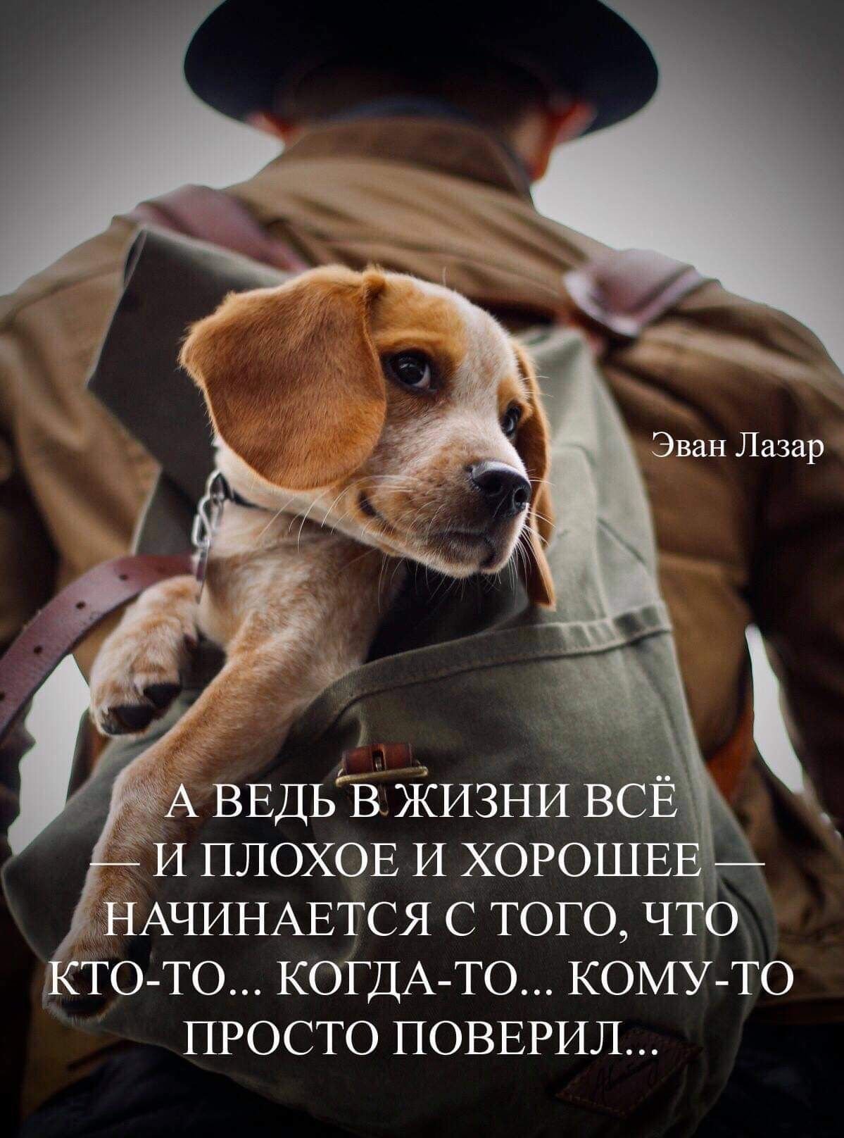 Доброе утро картинки Эван Лазар