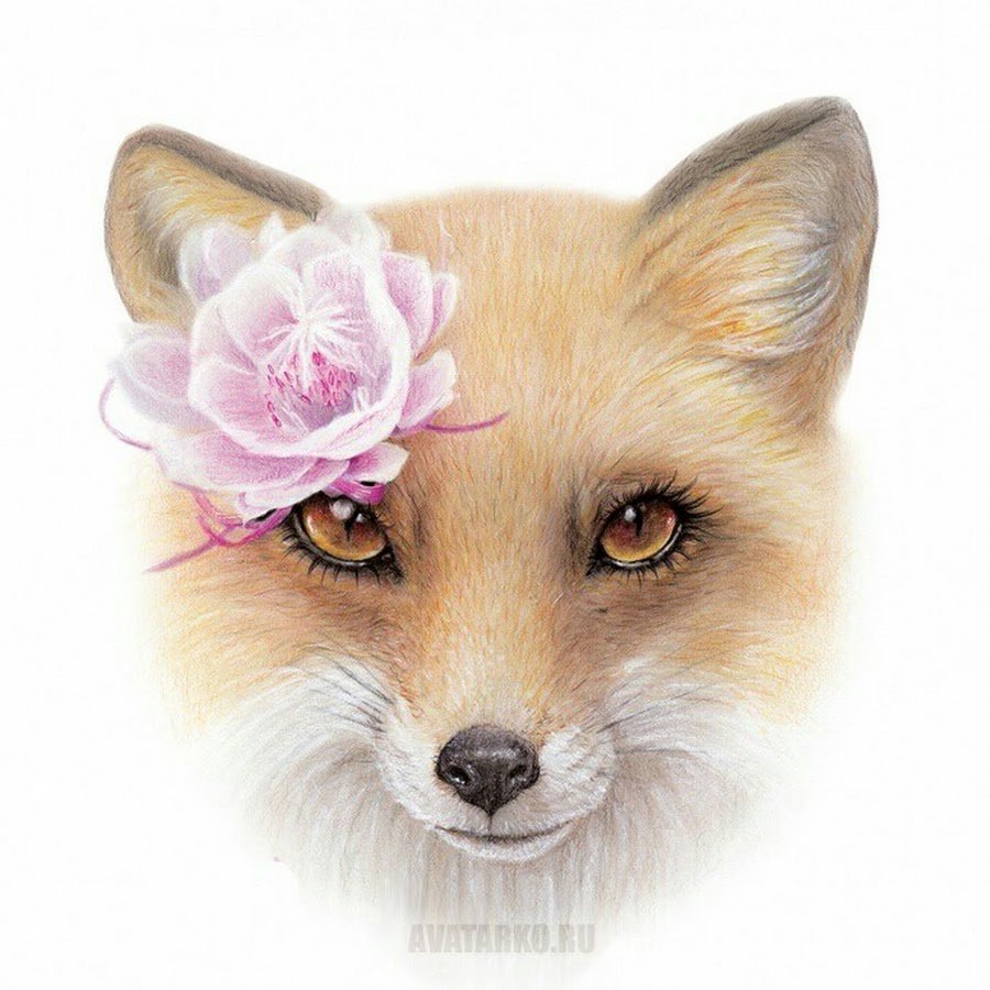 Лисенок и цветы