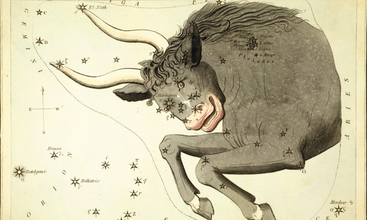 Созвездие тельца