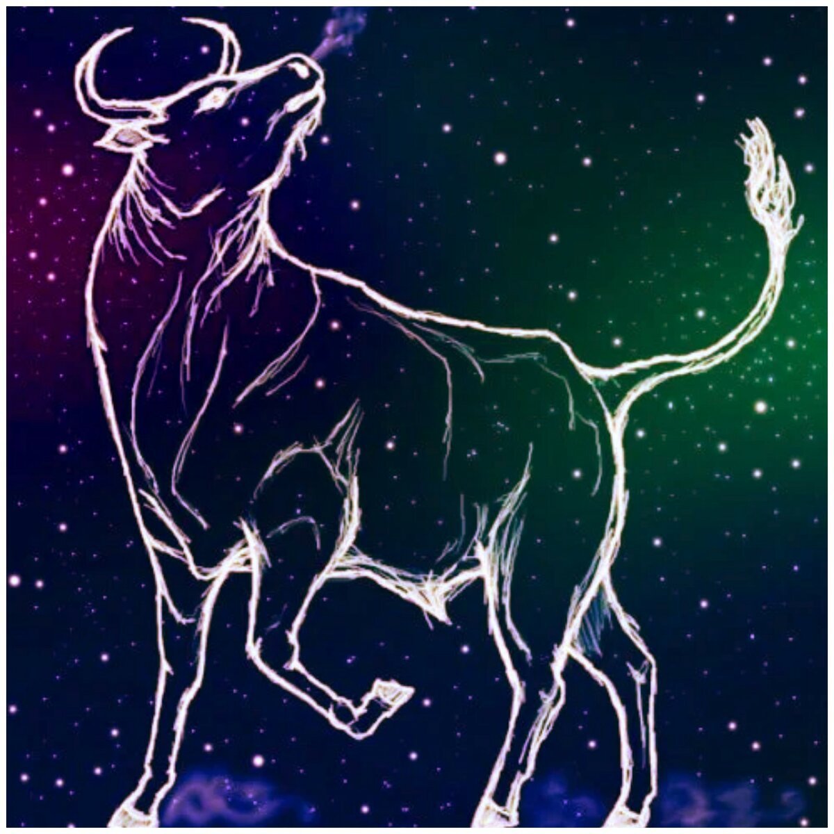 Телец знак зодиака Taurus