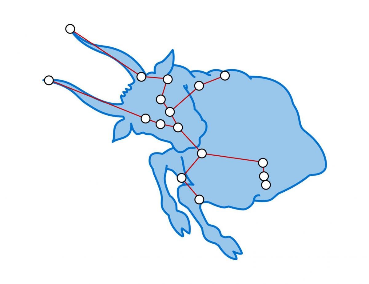 Созвездие Телец тату