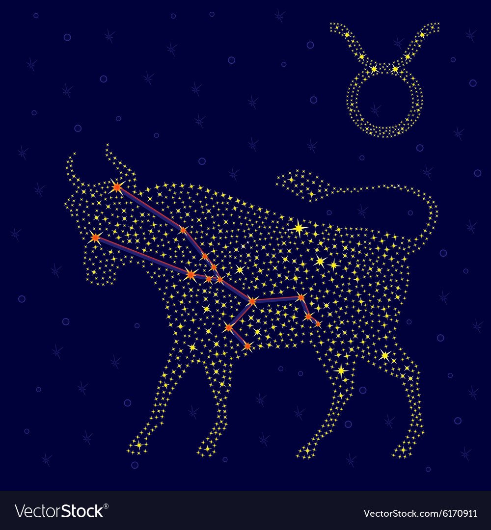 Созвездие тельца тату для девушек