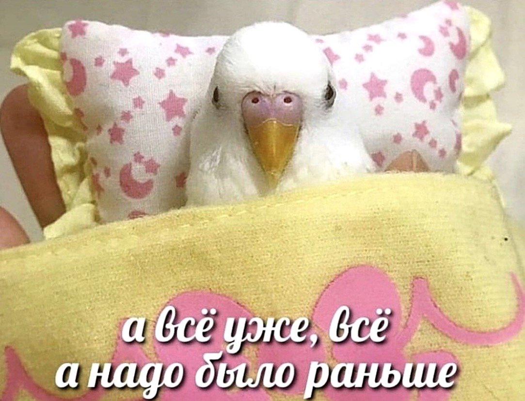 Ложись спать